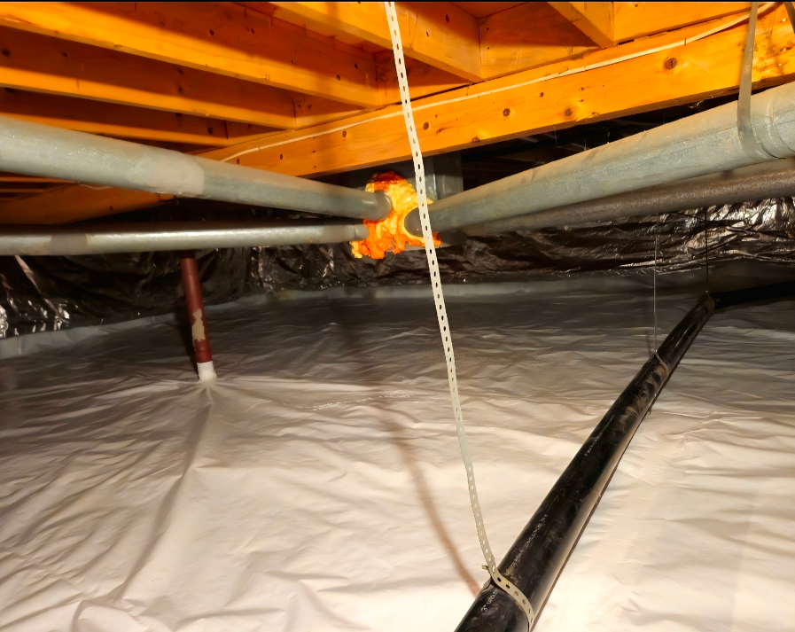 encapsulated crawl space area
